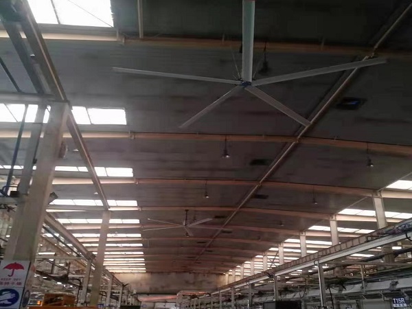 万向注册吊扇实景拍摄